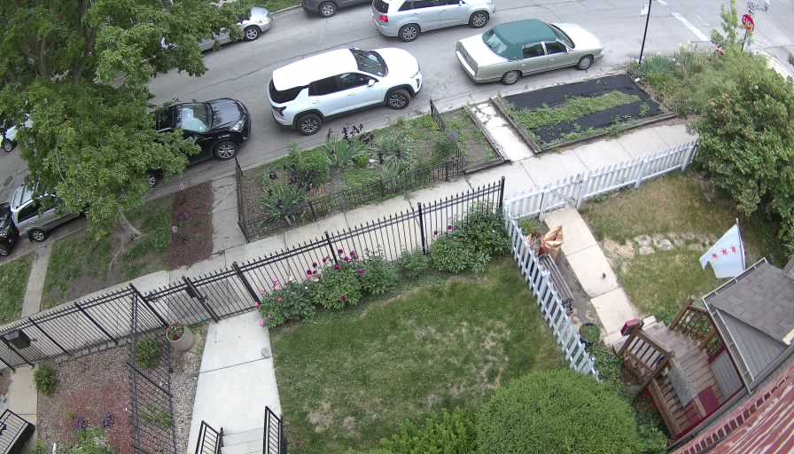Reolink Camera One_00_Reolink Home Hub One_20260521075046.jpg
